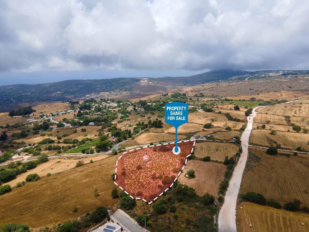 Field-Kato Arodes-PR34672