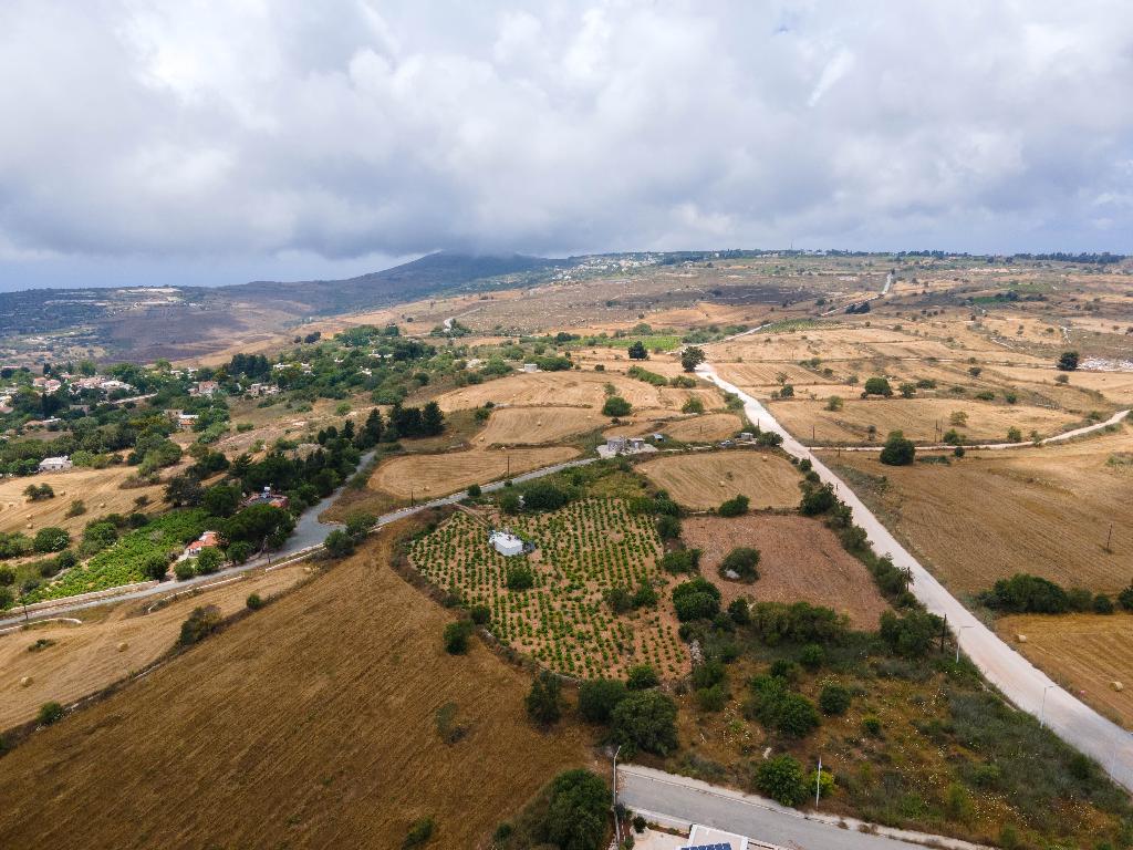Field-Kato Arodes-PR34672