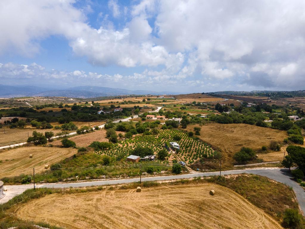 Field-Kato Arodes-PR34672