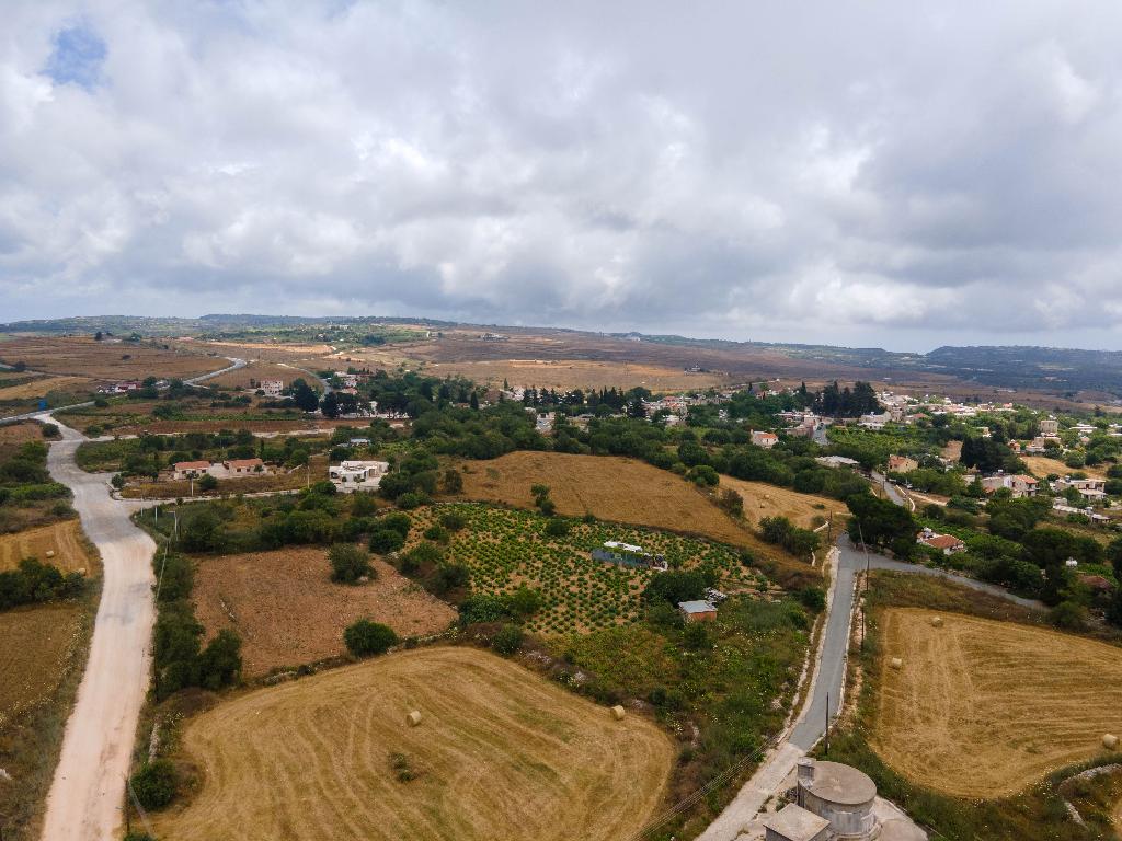 Field-Kato Arodes-PR34672