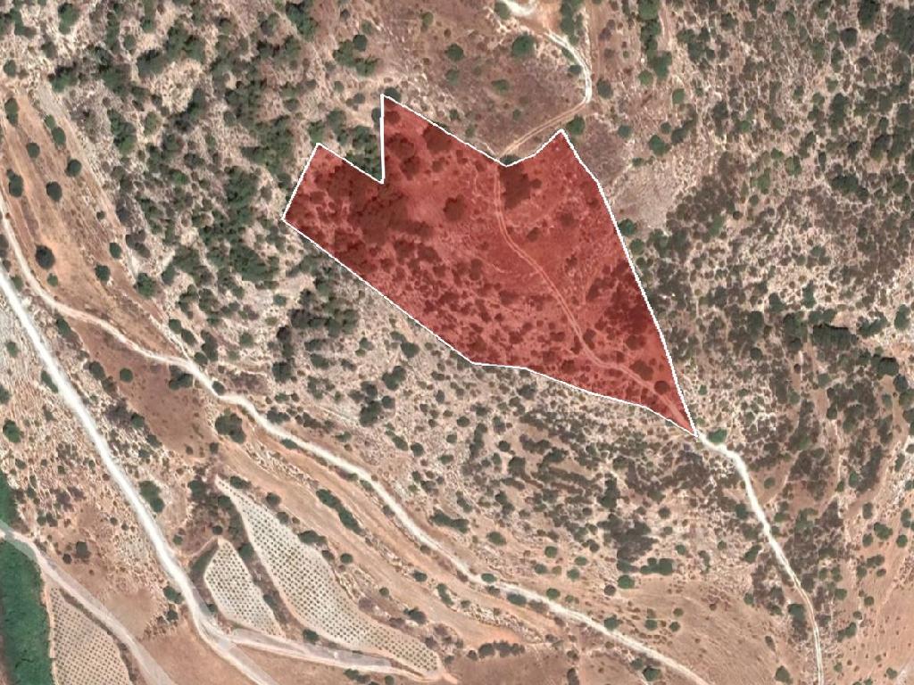 Field-Kallepeia-PR35641