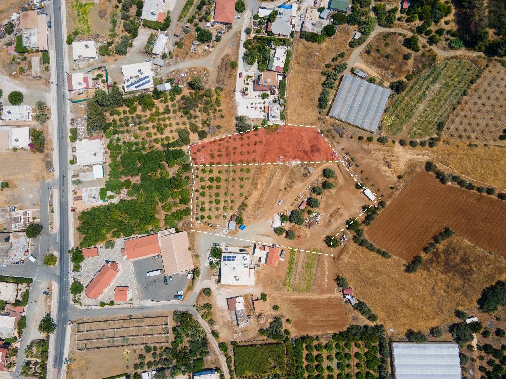 Field-Agia Marina (Chrysohous)-PR35786