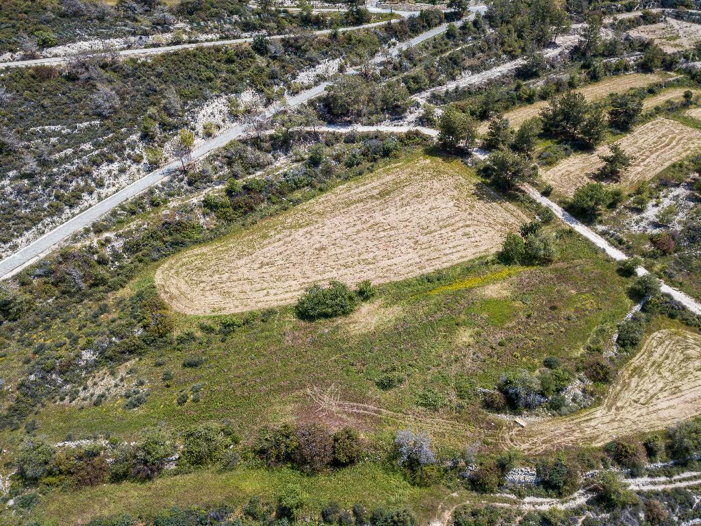 Field (Share) – Doros, Limassol