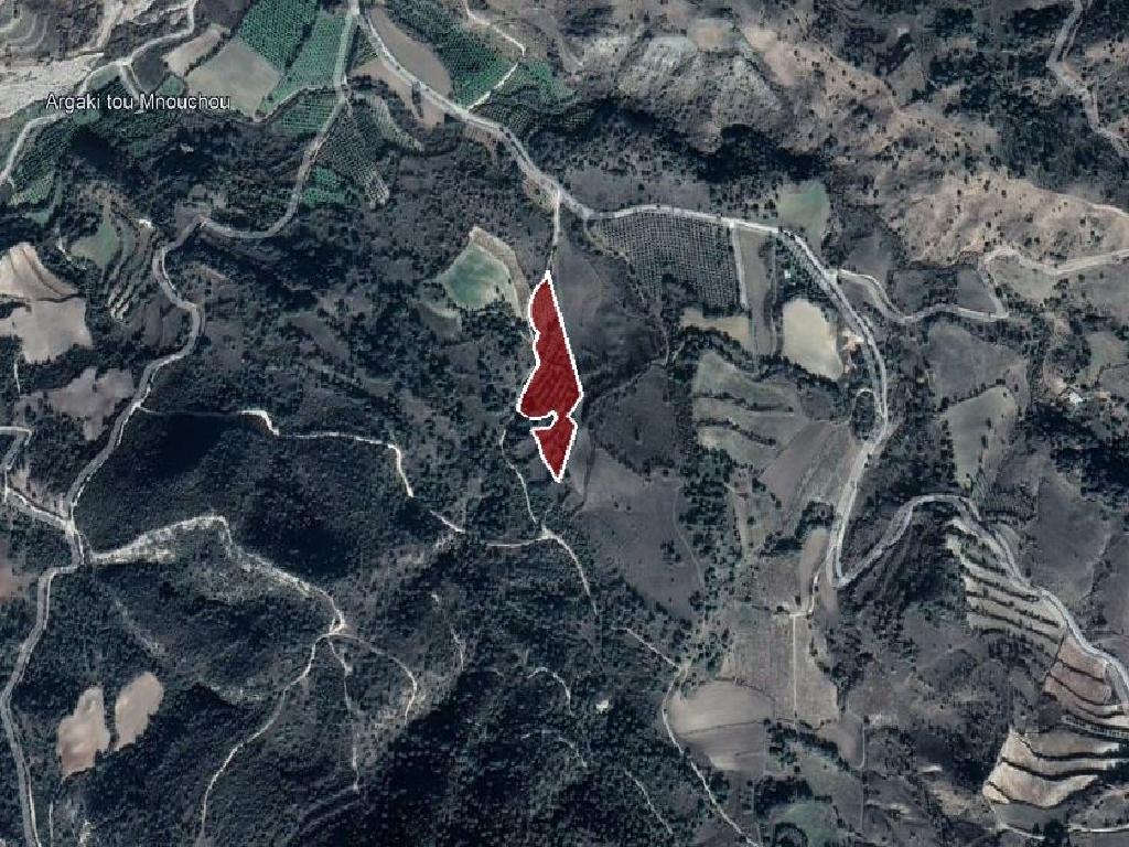 Field-Mamonia-PR36941