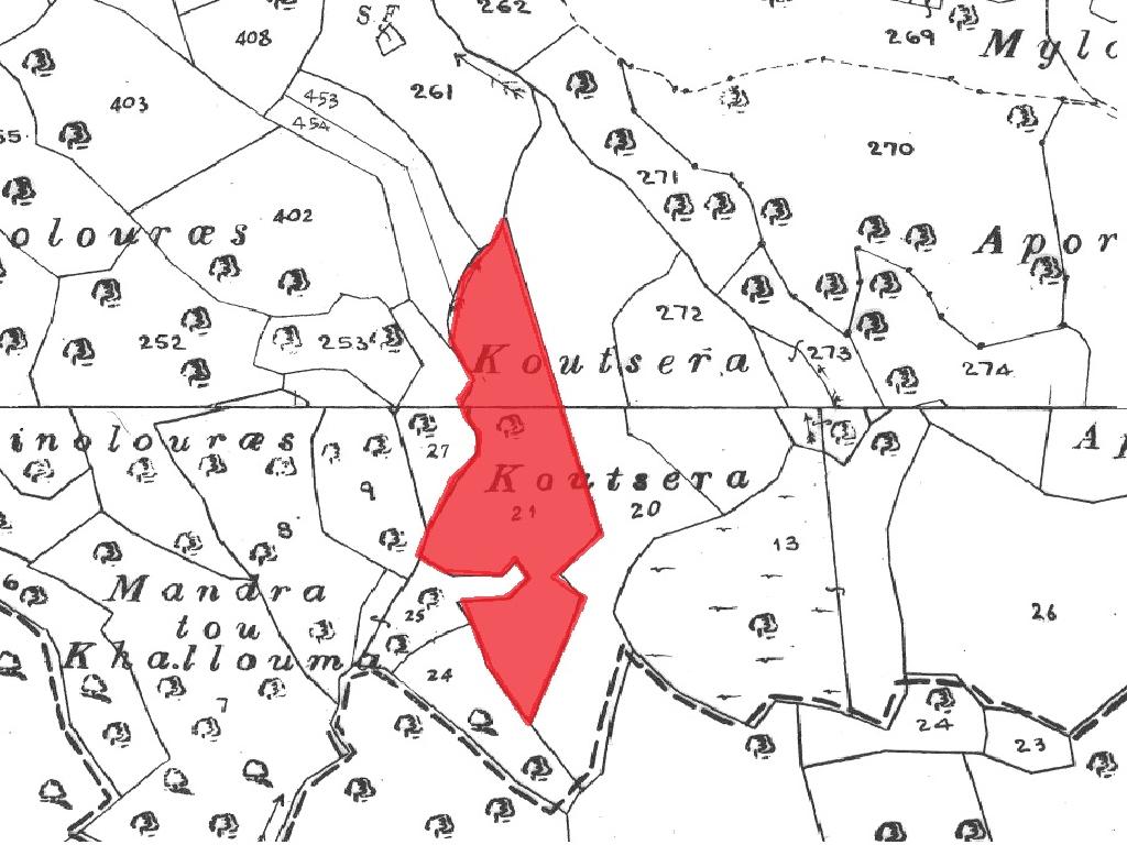 Field-Mamonia-PR36941