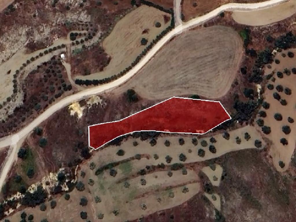 Field - Analiontas, Nicosia
