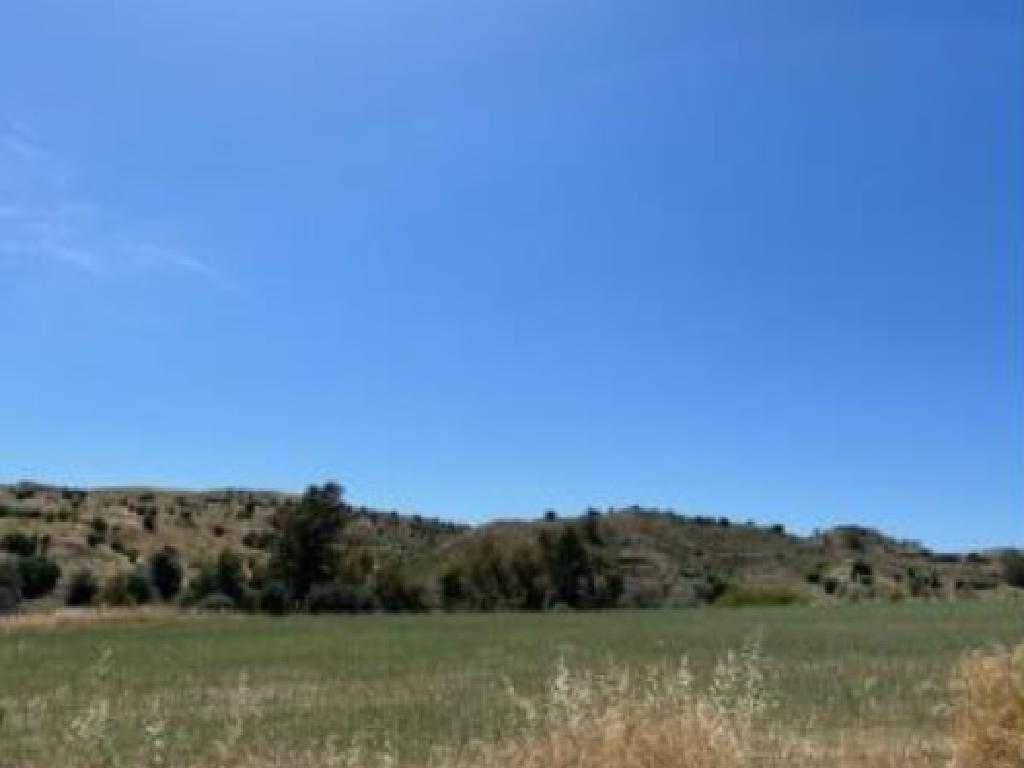 Field - Analiontas, Nicosia