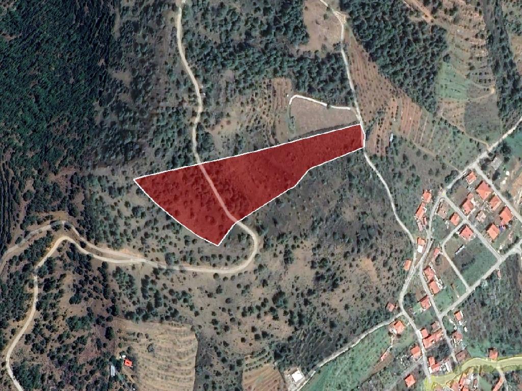 Field-Tsakistra-PR39518