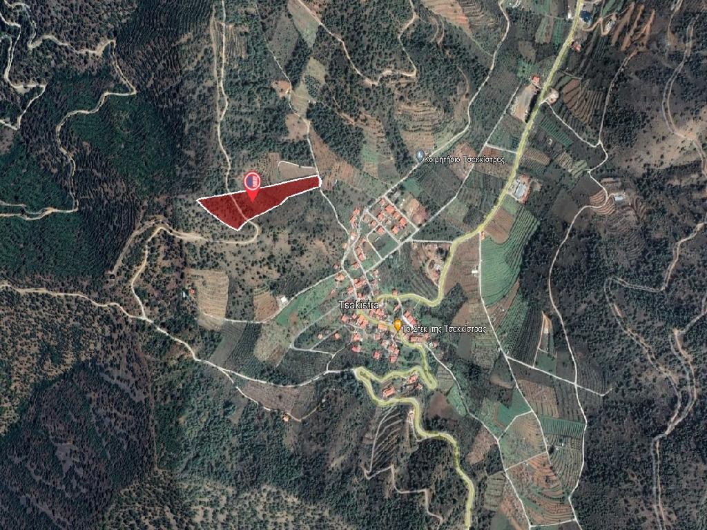 Field-Tsakistra-PR39518