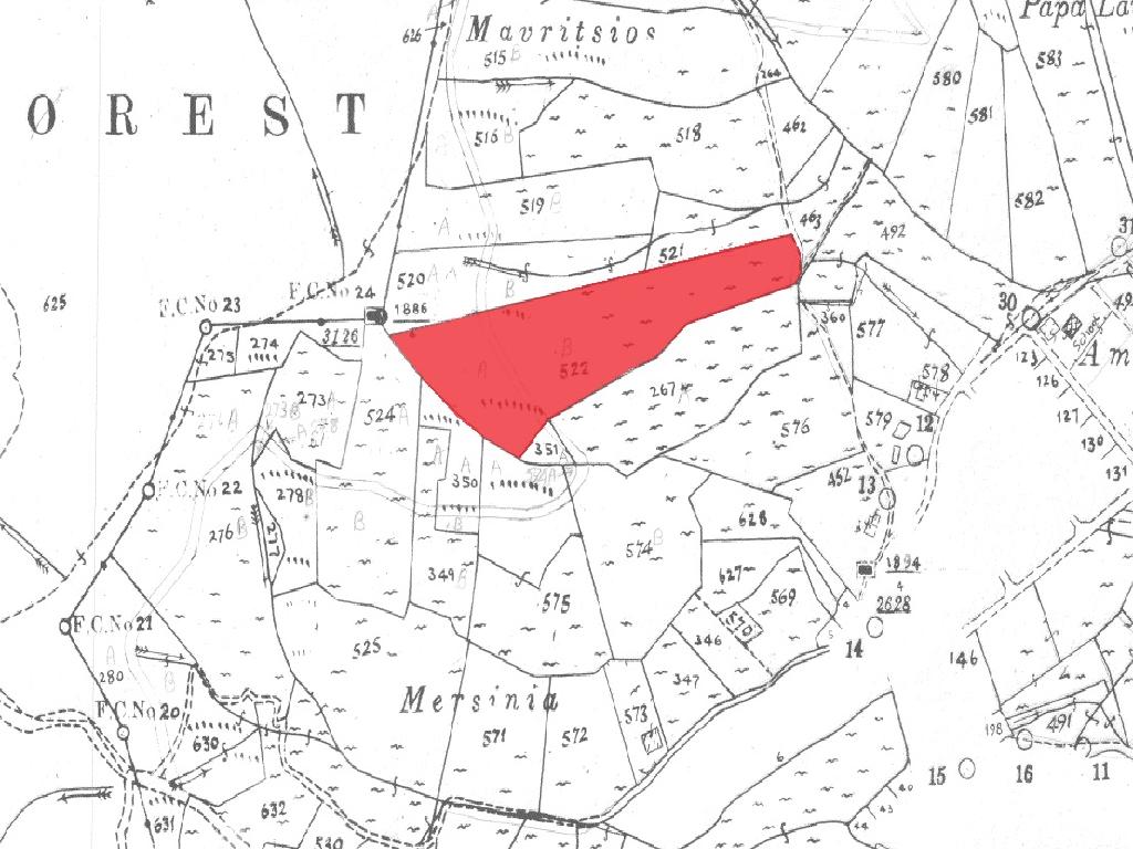 Field-Tsakistra-PR39518