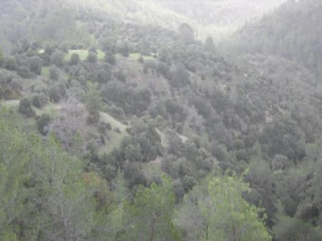 Field-Amargeti-PR39944