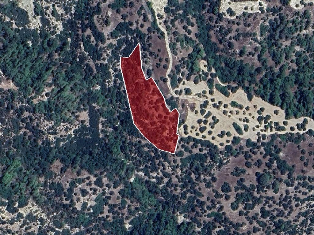 Field-Amargeti-PR39944