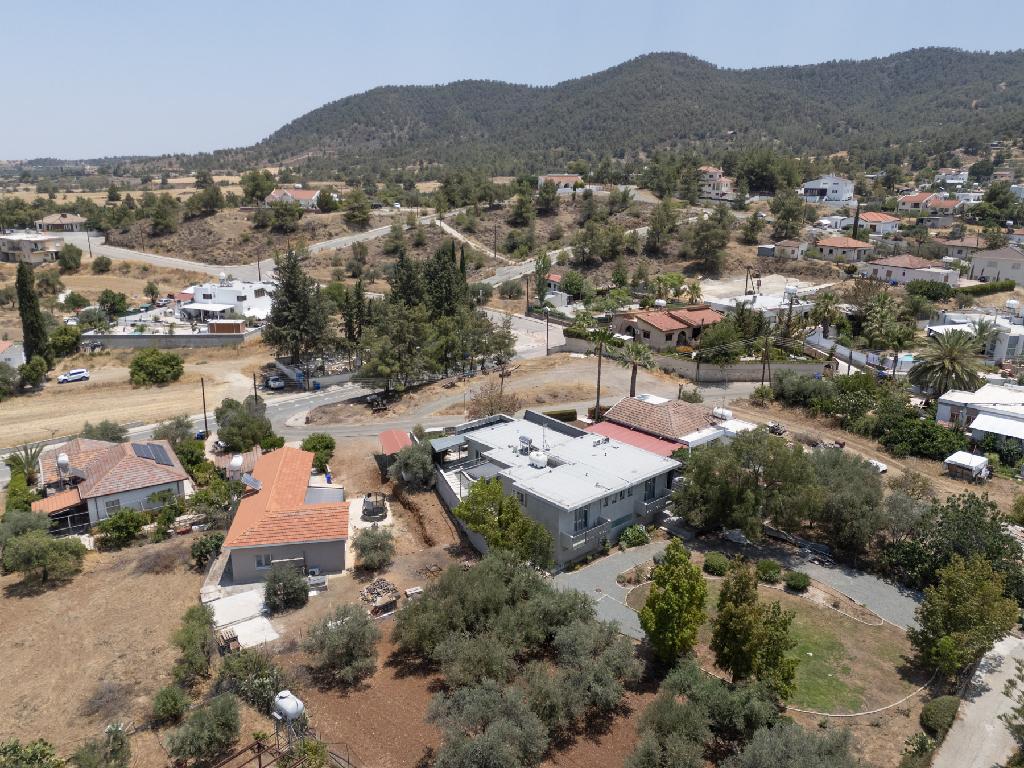 Field-Kalo Chorio (Oreinis)-CP10024