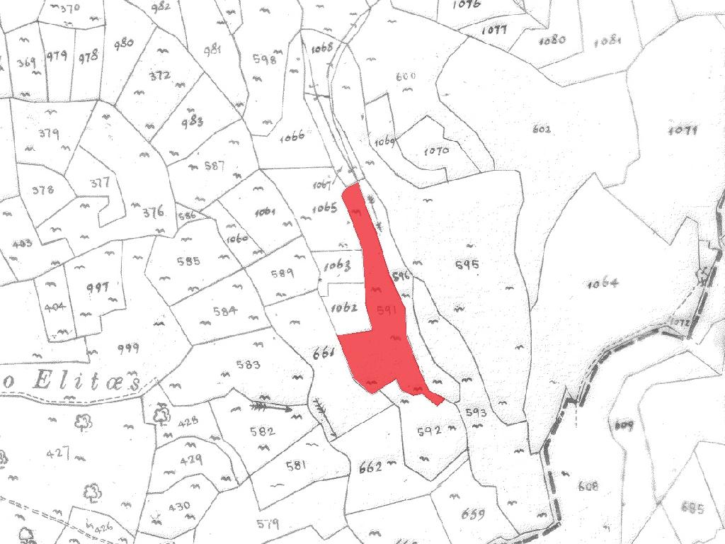 Field-Pachna-PR41374