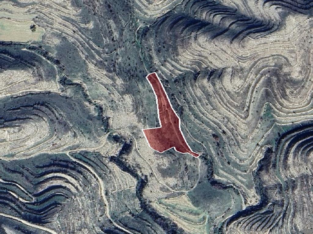 Field-Pachna-PR41374