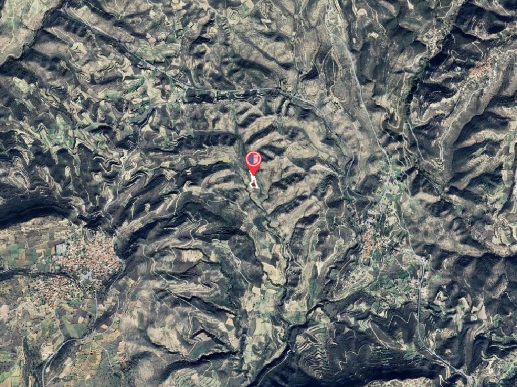 Field-Pachna-PR41374