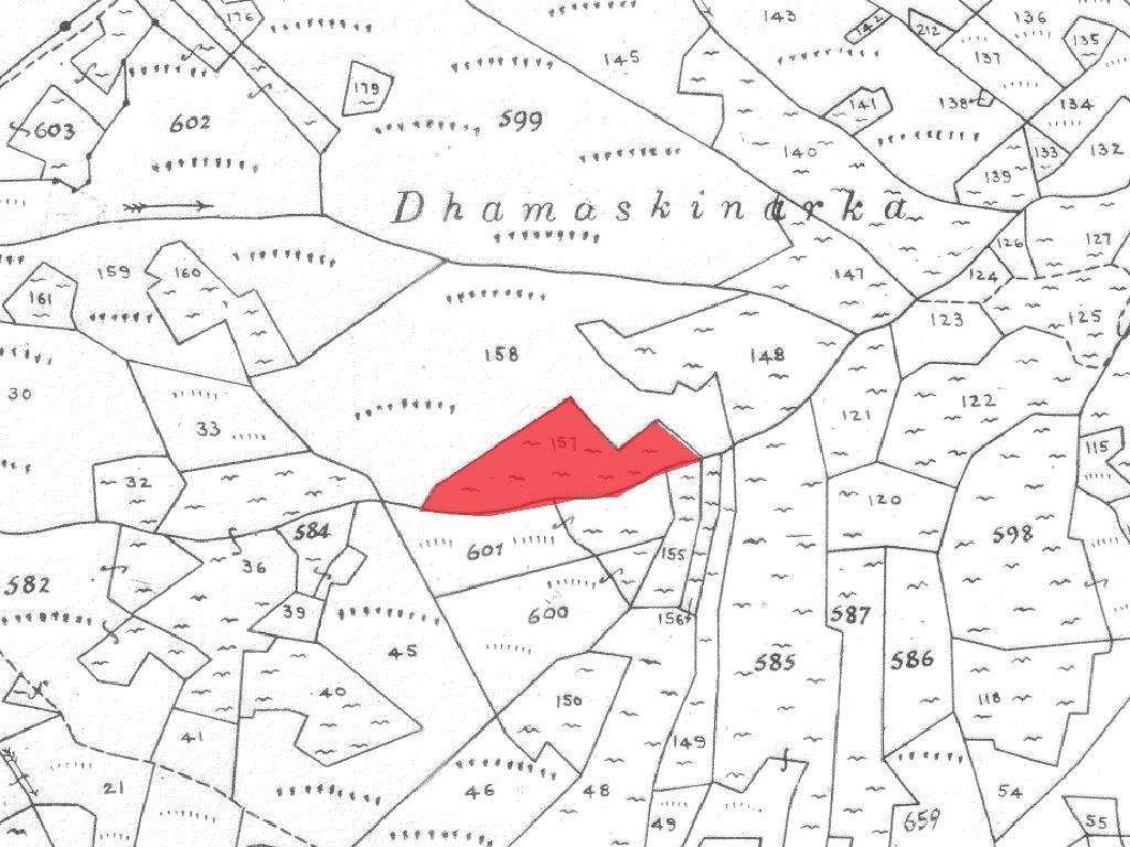 Field-Kampos-PR41447