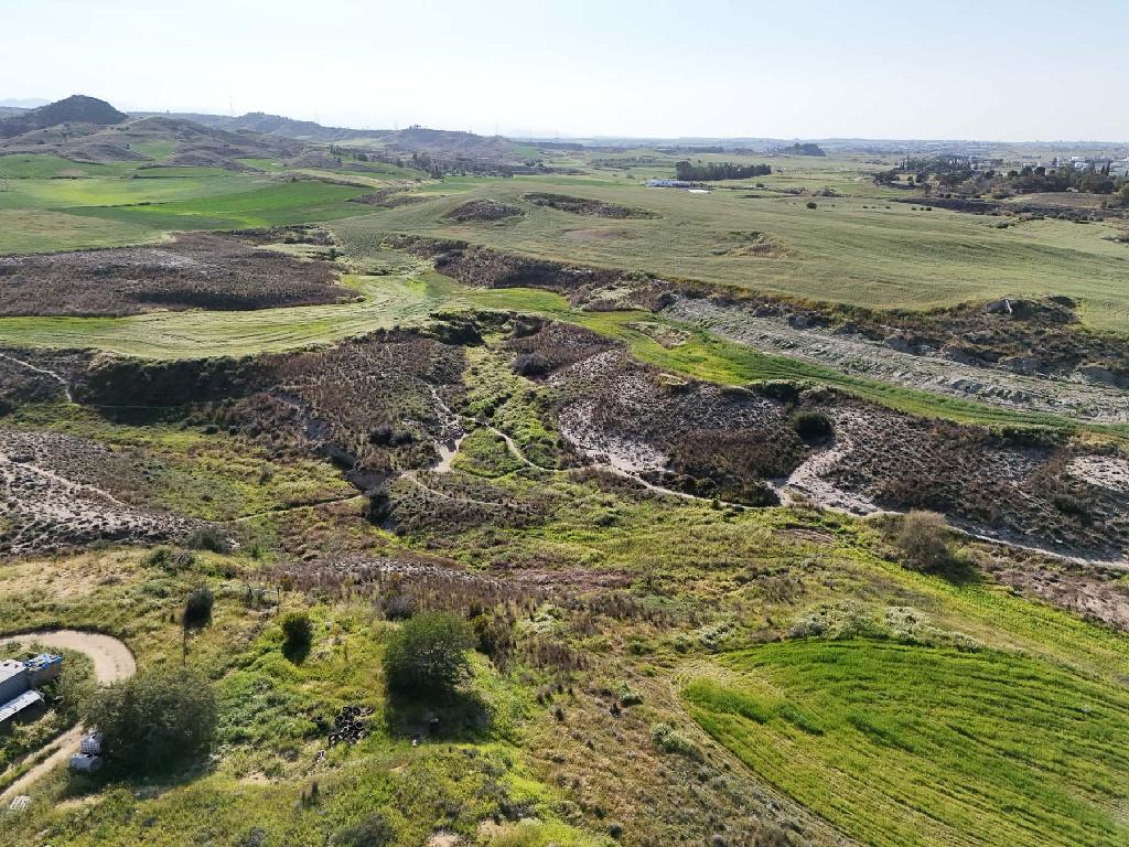 Field - Latsia, Nicosia