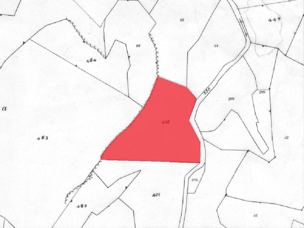 Field-Latsia-PR42413