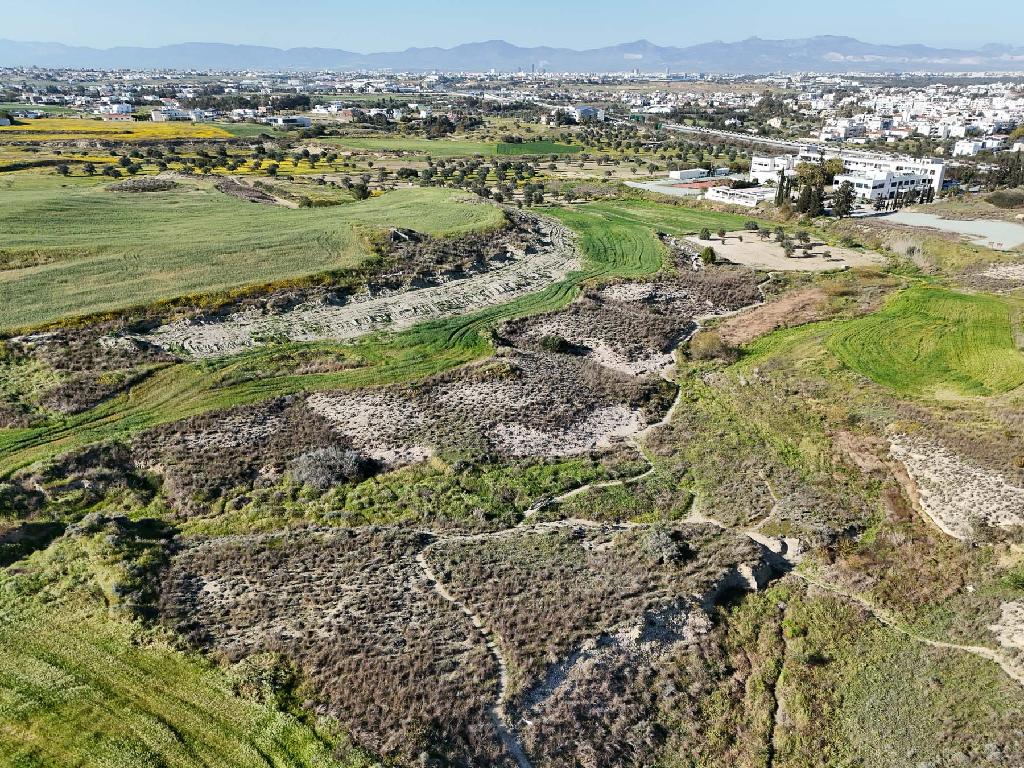 Field - Latsia, Nicosia