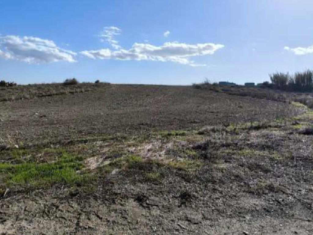 Χωράφι-Αραδίππου-PR43619