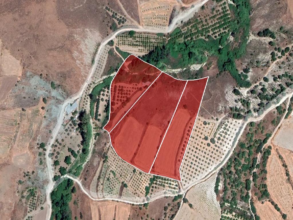 Field-Kannaviou - Melamiou-CP10232