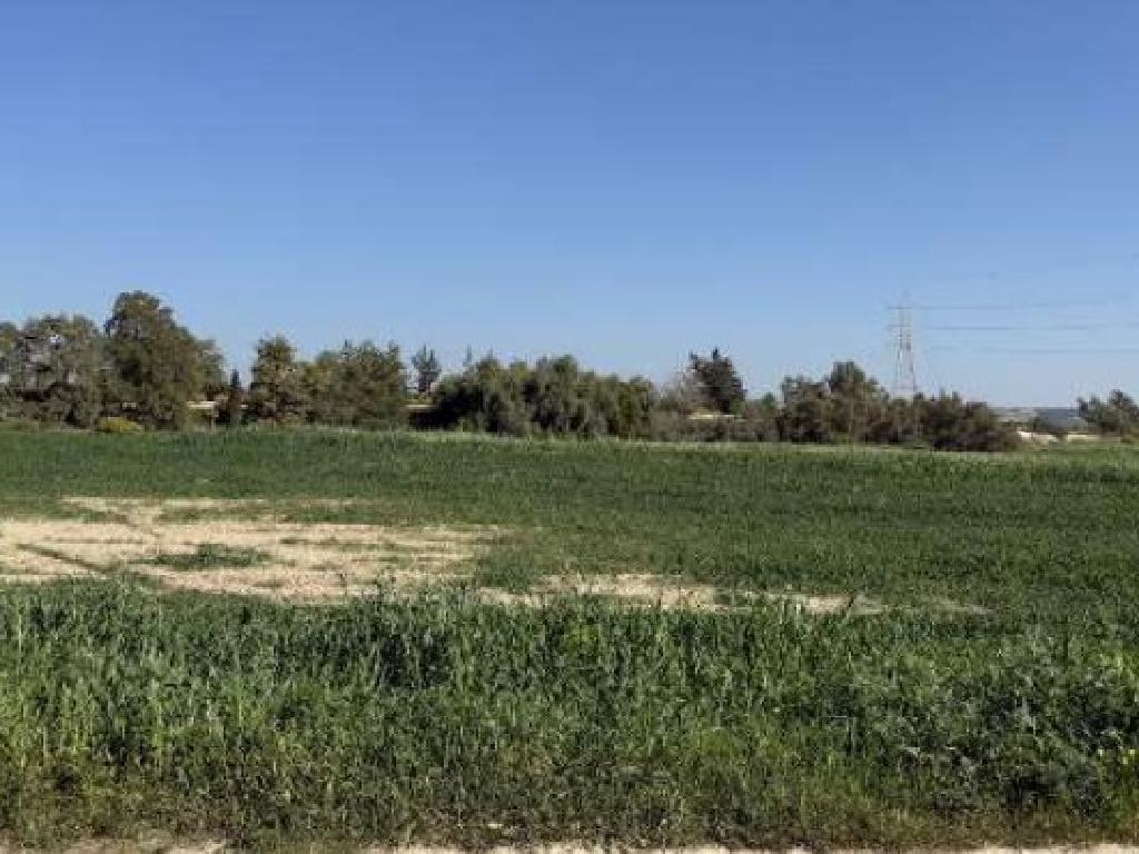 Field (Share) - Aradippou, Larnaca