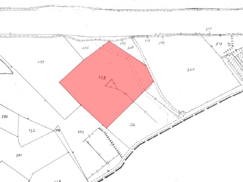 Field (Share) - Aradippou, Larnaca