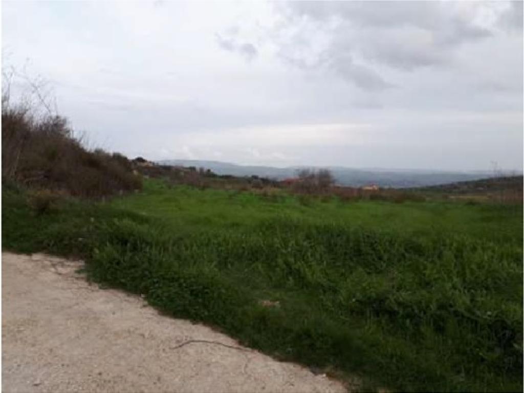 Field - Polemi, Paphos