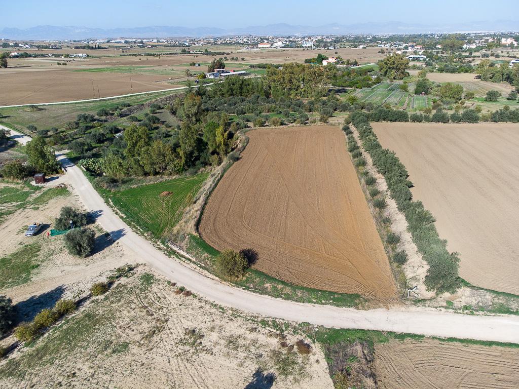 Field-Politiko-PR14438