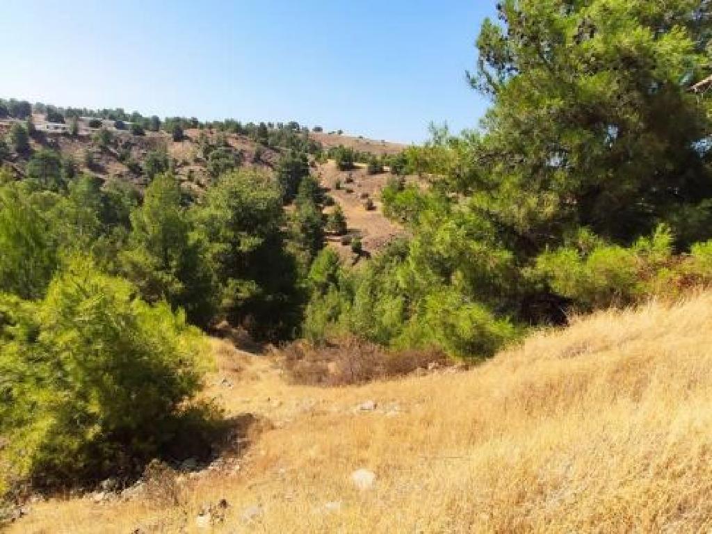 Field-Kampia-PR12190