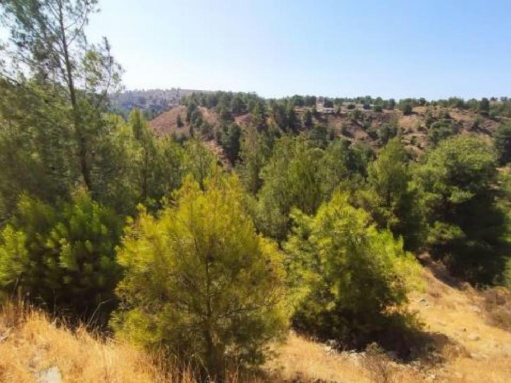 Field-Kampia-PR12190