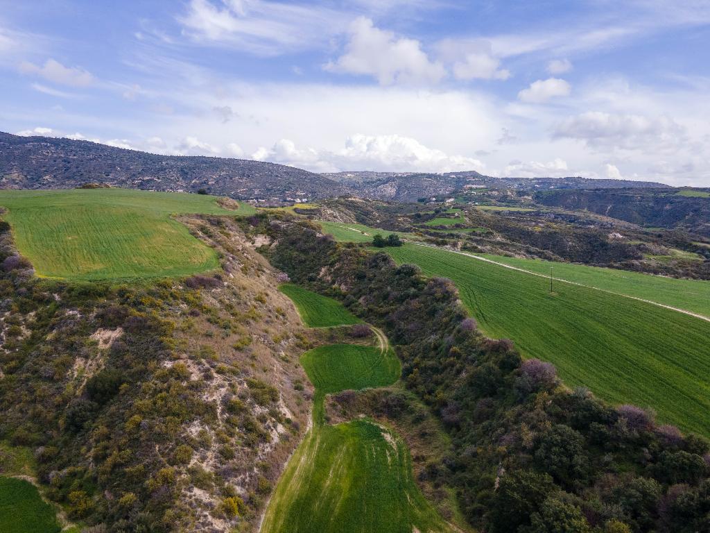 Field - Steni, Paphos