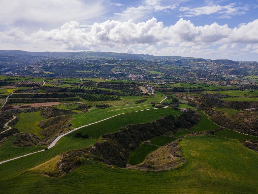 Field - Steni, Paphos