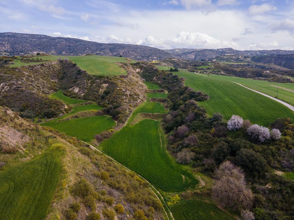 Field - Steni, Paphos