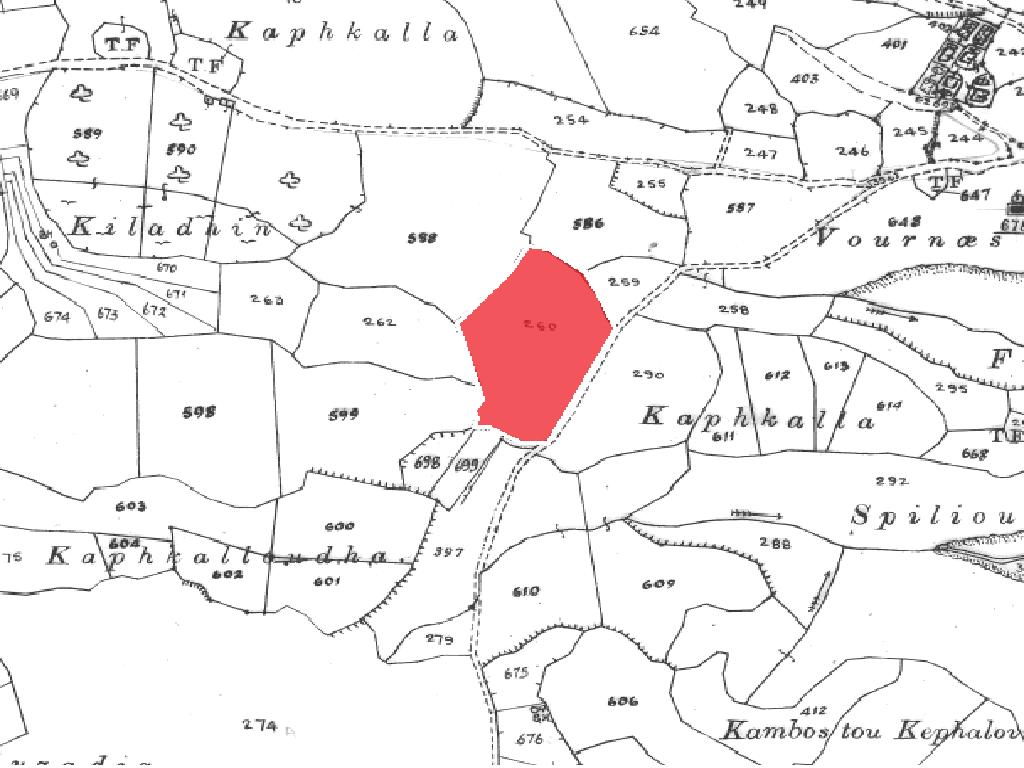 Field-New Chorio-PR35589