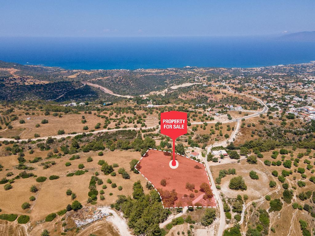 Χωράφι - Νέο Χωριό, Πάφος