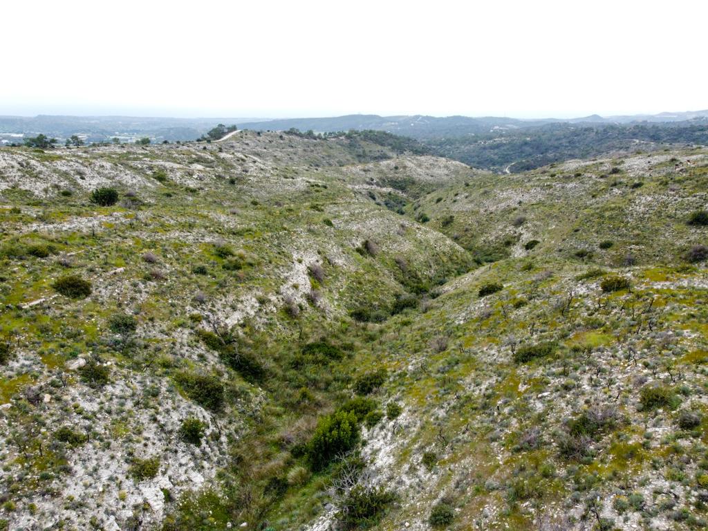 Field - Chirokitia, Larnaca