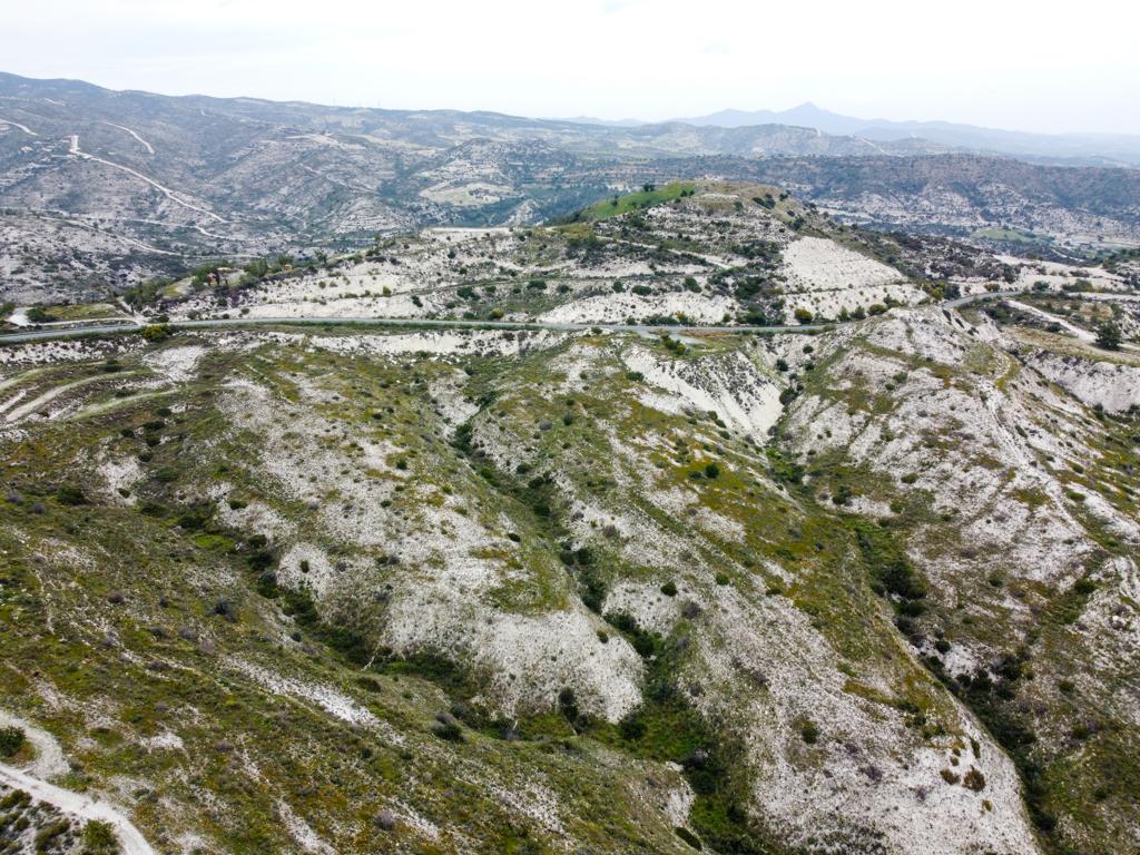 Χωράφι - Χοιροκοιτία, Λάρνακα