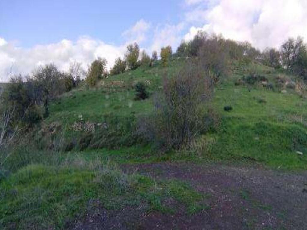 Field-Statos - Agios Fotios-PR37321