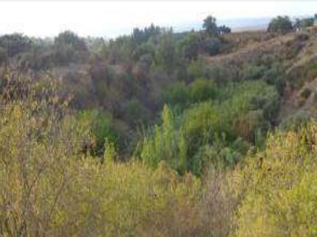 Field-Argaka-PR38326