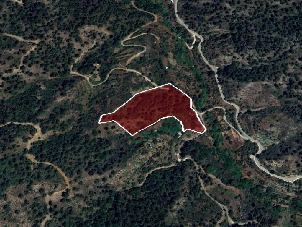 Field-Spilia-PR39369