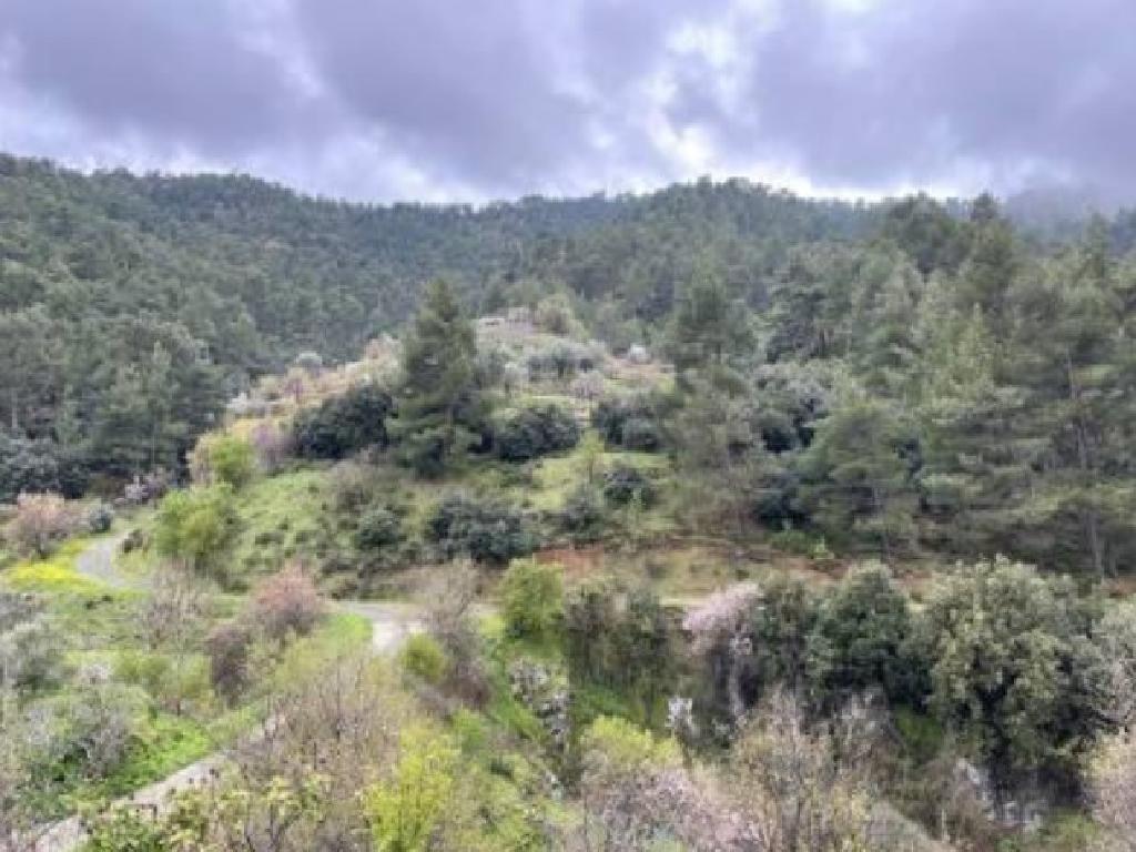 Field-Spilia-PR39369