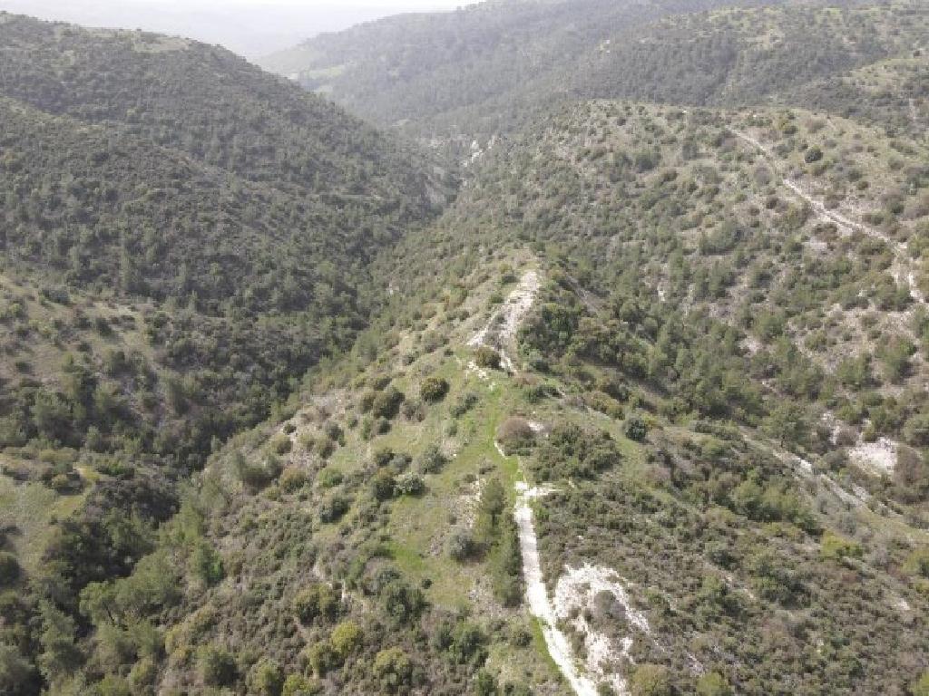 Field-Amargeti-PR39533