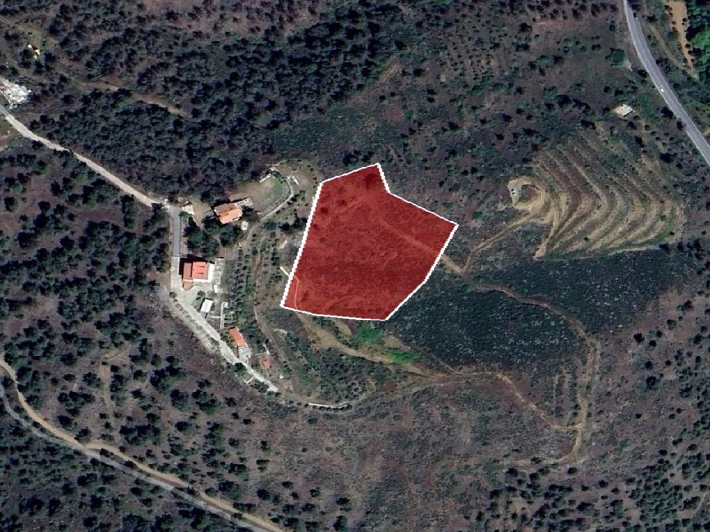 Field-Agios Epifanios (Oreinis)-PR40328