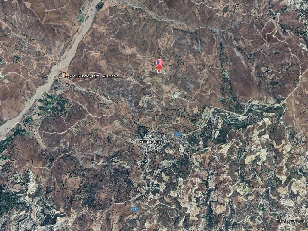 Field-Kelokedara-PR40588