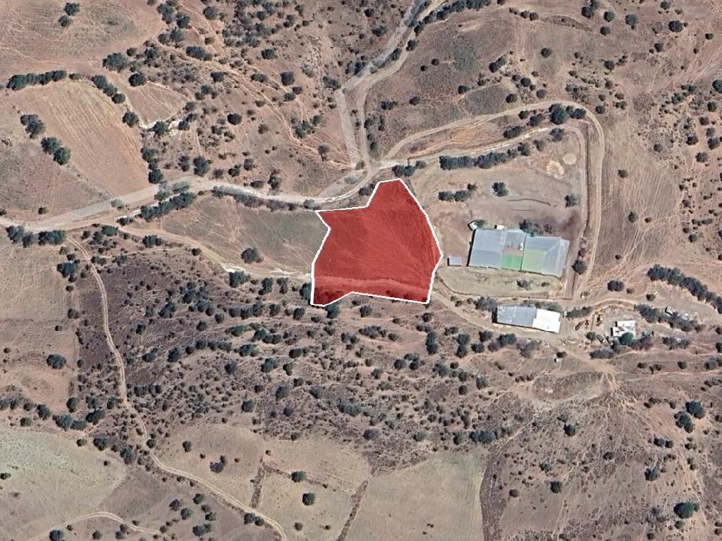 Field-Kelokedara-PR40588