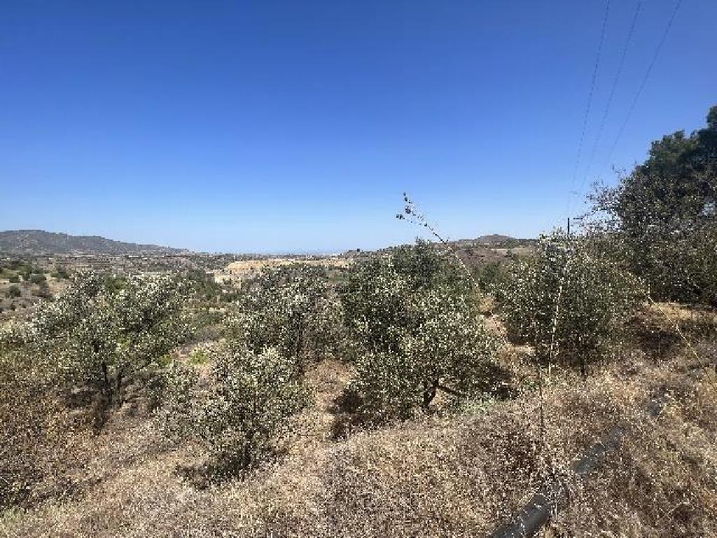 Field - Xyliatos, Nicosia
