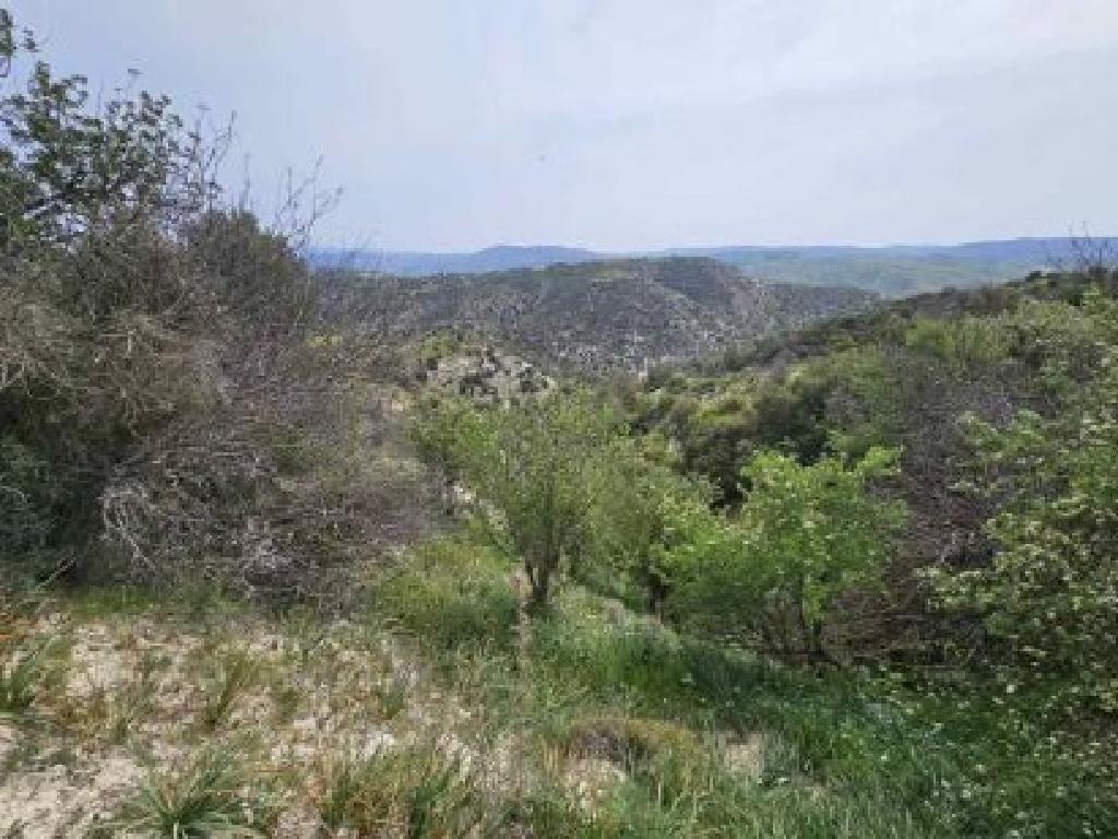 Field-Eledio-PR42442