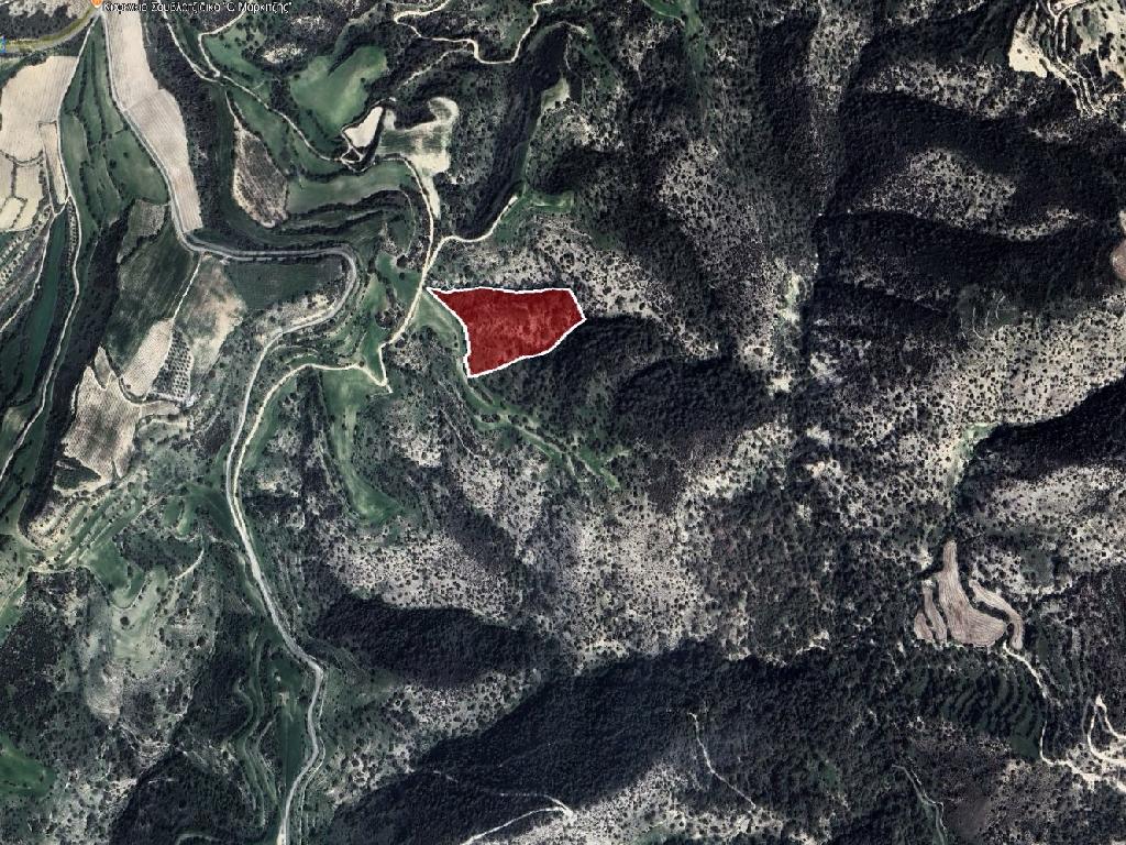 Field-Eledio-PR42442